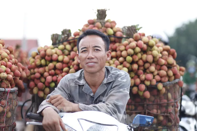 Đi chợ vải thiều Bắc Giang - Ảnh 4
