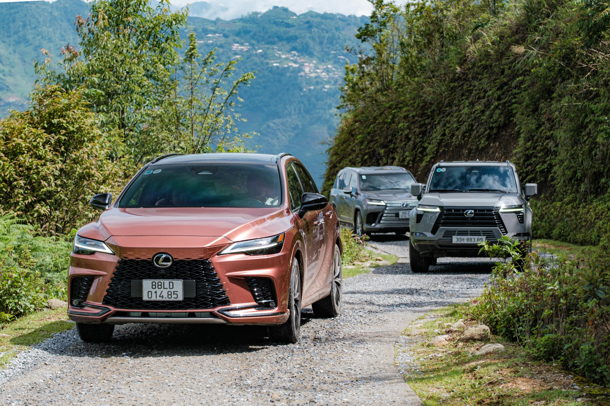 Sense Việt Nam - Hành trình trải nghiệm xe ‘không giống ai’ của Lexus - Ảnh 2