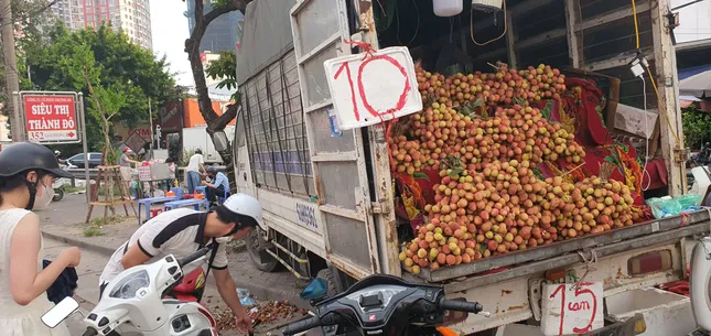 Mùa vải chín - Ảnh 1