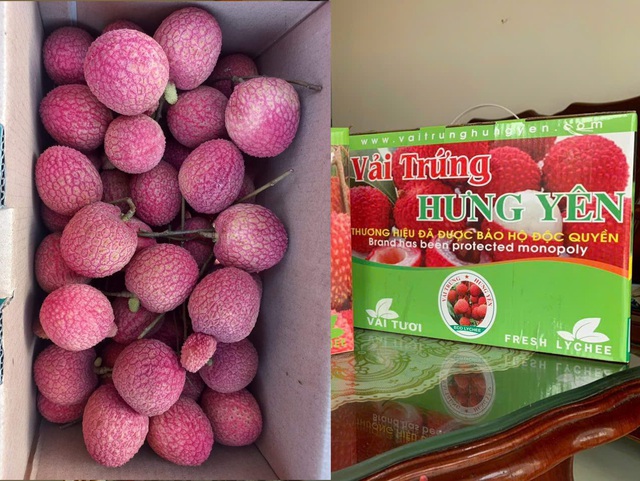 Loại vải hơn 10.000đ/quả, to bằng trứng gà: Người ăn nhận xét "Chưa bao giờ ăn vải nào ngon thế này" - Ảnh 2