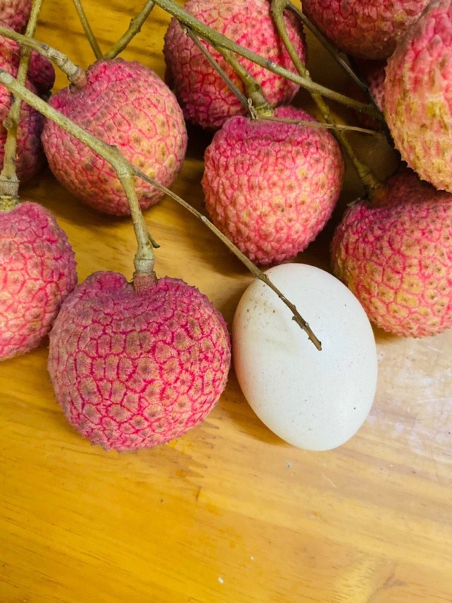 Loại vải hơn 10.000đ/quả, to bằng trứng gà: Người ăn nhận xét "Chưa bao giờ ăn vải nào ngon thế này" - Ảnh 1