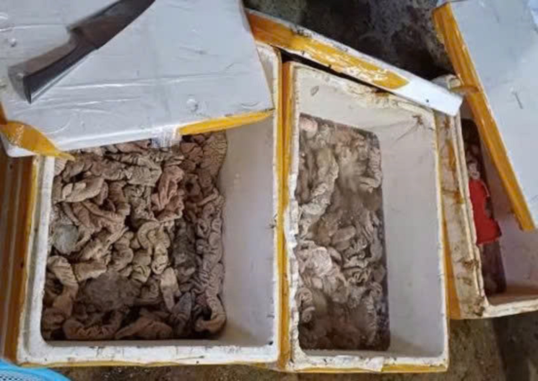 Phát hiện kho hàng tại Đà Nẵng chứa 3,5 tấn thịt, nội tạng bốc mùi đổi màu - Ảnh 1