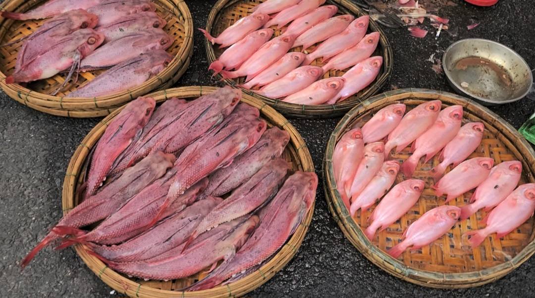 Đà Nẵng: Ban quản lý chợ Cẩm Lệ nói gì về phản ánh cá biển có màu bất thường? - Ảnh 1