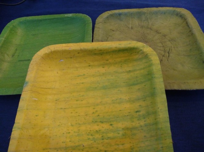 Loại lá người Việt dùng gói bánh, gói xôi "thăng hạng" thành mặt hàng triệu đô, xuất khẩu khắp Âu Á - Ảnh 1