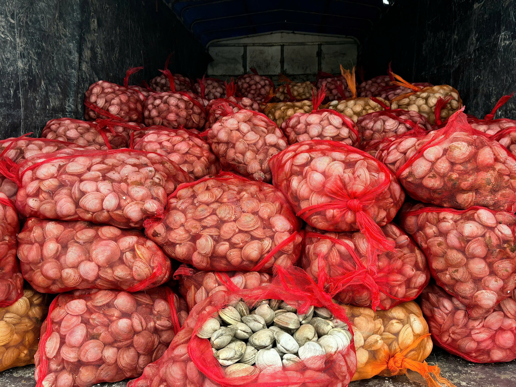 2 người đàn ông vận chuyển 17 tấn ngao, hàu từ biên giới vào trong nước tiêu thụ bị phát hiện - Ảnh 2