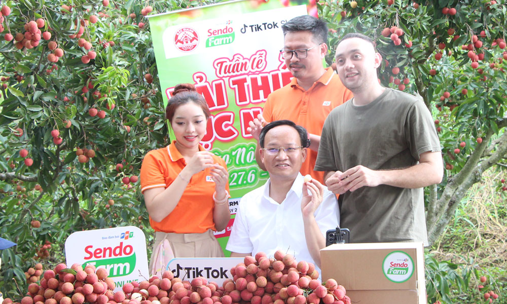 Lần đầu tiên Phó Chủ tịch Bắc Ninh livestream chốt đơn hàng chục tấn vải chỉ trong một buổi sáng - Ảnh 1