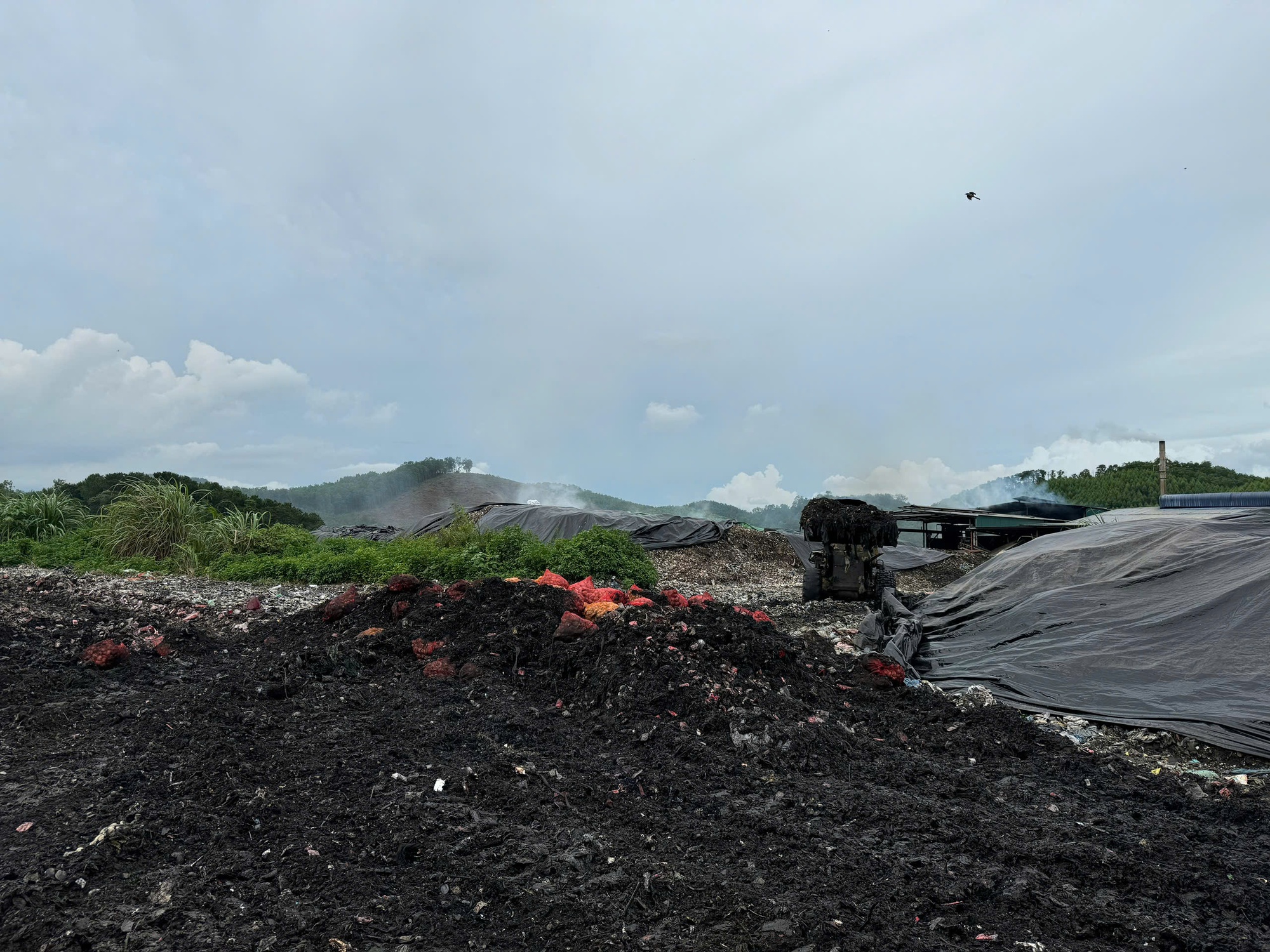 2 người đàn ông vận chuyển 17 tấn ngao, hàu từ biên giới vào trong nước tiêu thụ bị phát hiện - Ảnh 3