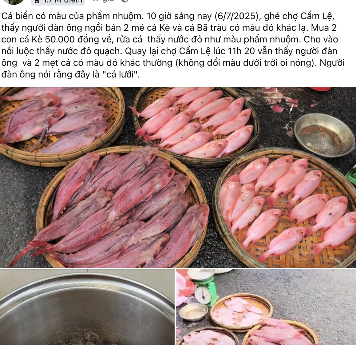 Cá "nhuộm phẩm" ở Đà Nẵng là do được rửa bằng nước ngọt có màu? - Ảnh 1