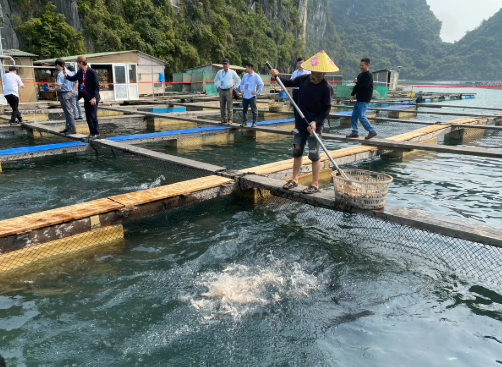 Kho báu ngầm của Việt Nam được Hàn Quốc, Thái Lan cực kỳ mê: Nửa năm thu hơn 300 triệu USD - Mỹ, Trung Quốc cũng liên tục chốt đơn - Ảnh 1