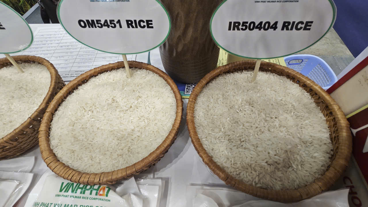 Doanh nghiệp xuất khẩu gạo, cà phê gửi kiến nghị khẩn lên Thủ tướng - Ảnh 2