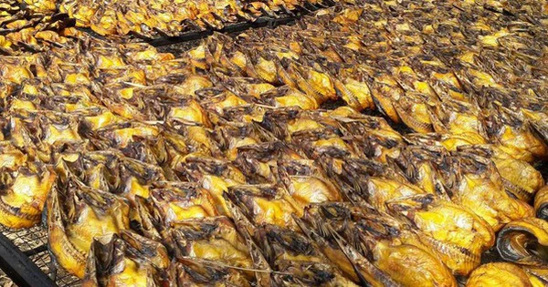 Cả thế giới tranh nuôi nhưng chỉ Việt Nam tạo nên ngành công nghiệp tỷ đô từ "mỏ vàng" này - chiếm 95% thị phần toàn cầu - Ảnh 1