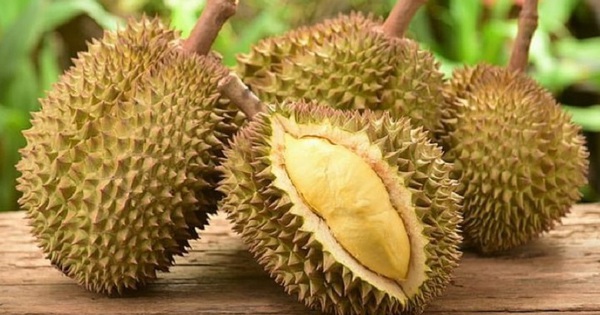 Thêm một đối thủ với sầu riêng Việt Nam ở thị trường Trung Quốc