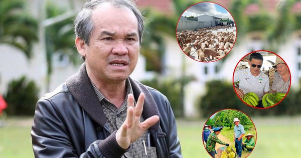 Bầu Đức “nói không” với bất động sản ngàn tỷ, chọn nuôi heo và 2 loại cây này để trả sạch nợ