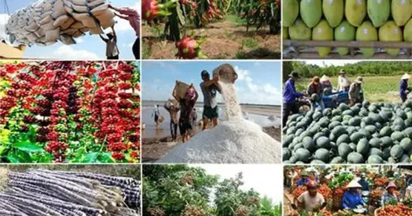 Xuất khẩu nông, lâm, thuỷ sản 6 tháng tăng 14%