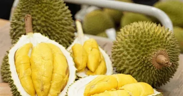 Xuất khẩu sầu riêng lao dốc, nhập từ Thái Lan và Malaysia tăng đột biến