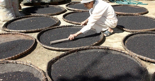 Hàng chục nghìn tấn "vàng đen" của Việt Nam ồ ạt tràn vào Mỹ, Đức, là mặt hàng VN xuất đi hơn 125 nước