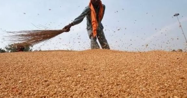 Hàng trăm nghìn tấn ‘báu vật’ từ Nga vừa đổ bộ vào Việt Nam: Thuế nhập khẩu 0%, Moscow đang là 'ông trùm' xuất khẩu của thế giới