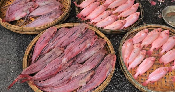 Cá "nhuộm phẩm" ở Đà Nẵng là do được rửa bằng nước ngọt có màu?