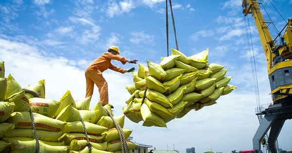 Giá gạo xuất khẩu nửa đầu năm giảm