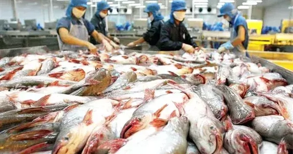 Xuất khẩu thủy sản tăng chậm lại trong tháng 6
