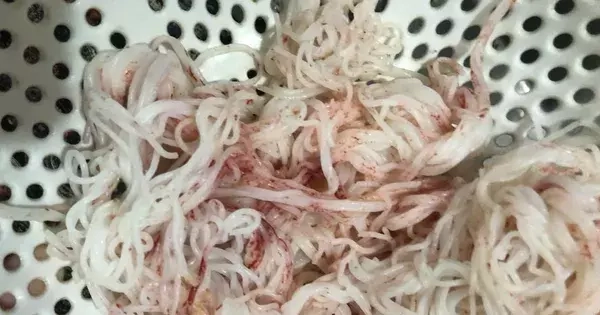 Bún tươi đổi màu lạ tại Đà Nẵng: Cơ sở sản xuất bị đình chỉ khẩn cấp