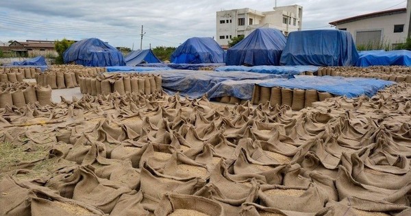 Vượt Thái Lan, Việt Nam sẽ có mặt hàng xuất khẩu top 2 thế giới, chinh phục hơn 150 quốc gia