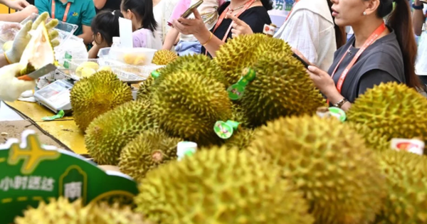 Tin vui cho sầu riêng Đông Nam Á: Nhu cầu sầu riêng của Trung Quốc bùng nổ trở lại, một nhà cung cấp thị phần tăng gấp 10 lần kể từ đầu năm