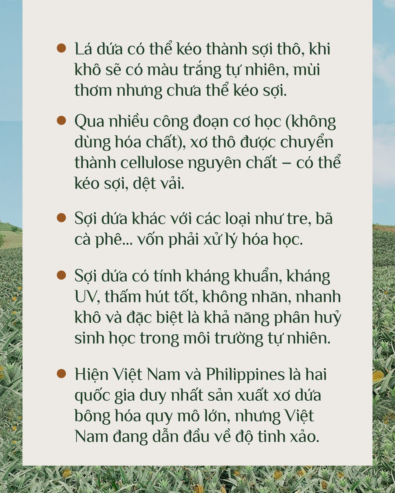 DN thu tiền khủng từ 1 loại lá: TQ không có nguyên liệu để làm, VN có hàng triệu tấn, phần lớn bị đốt bỏ - Ảnh 8