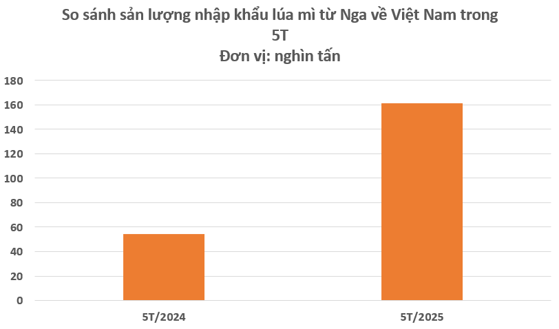 Hàng trăm nghìn tấn ‘báu vật’ từ Nga vừa đổ bộ vào Việt Nam: Thuế nhập khẩu 0%, Moscow đang là 'ông trùm' xuất khẩu của thế giới - Ảnh 2