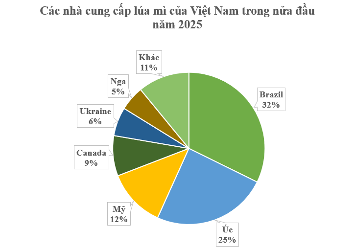Nga, Ukraine đua nhau gửi đến Việt Nam hàng trăm nghìn tấn 'báu vật' nông sản: Thuế nhập khẩu 0%, nước ta lọt top 10 tiêu thụ nhiều nhất thế giới - Ảnh 2