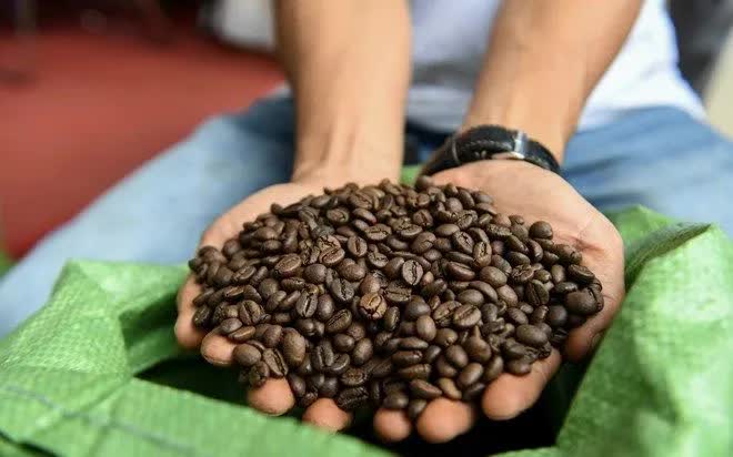 Nửa năm, xuất khẩu nông sản vượt 33 tỷ USD - Ảnh 1