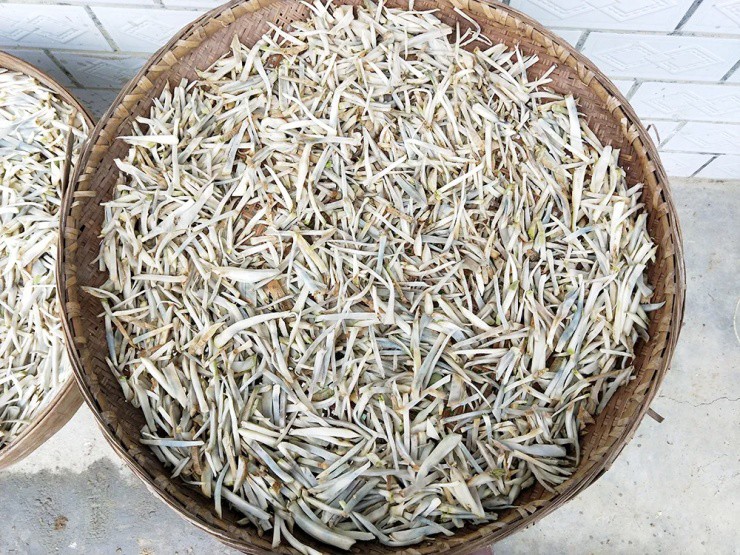 Củ cải “biến dạng” mà siêu năng suất, xưa là rau cứu đói, nay giúp “hái ra tiền” - Ảnh 3