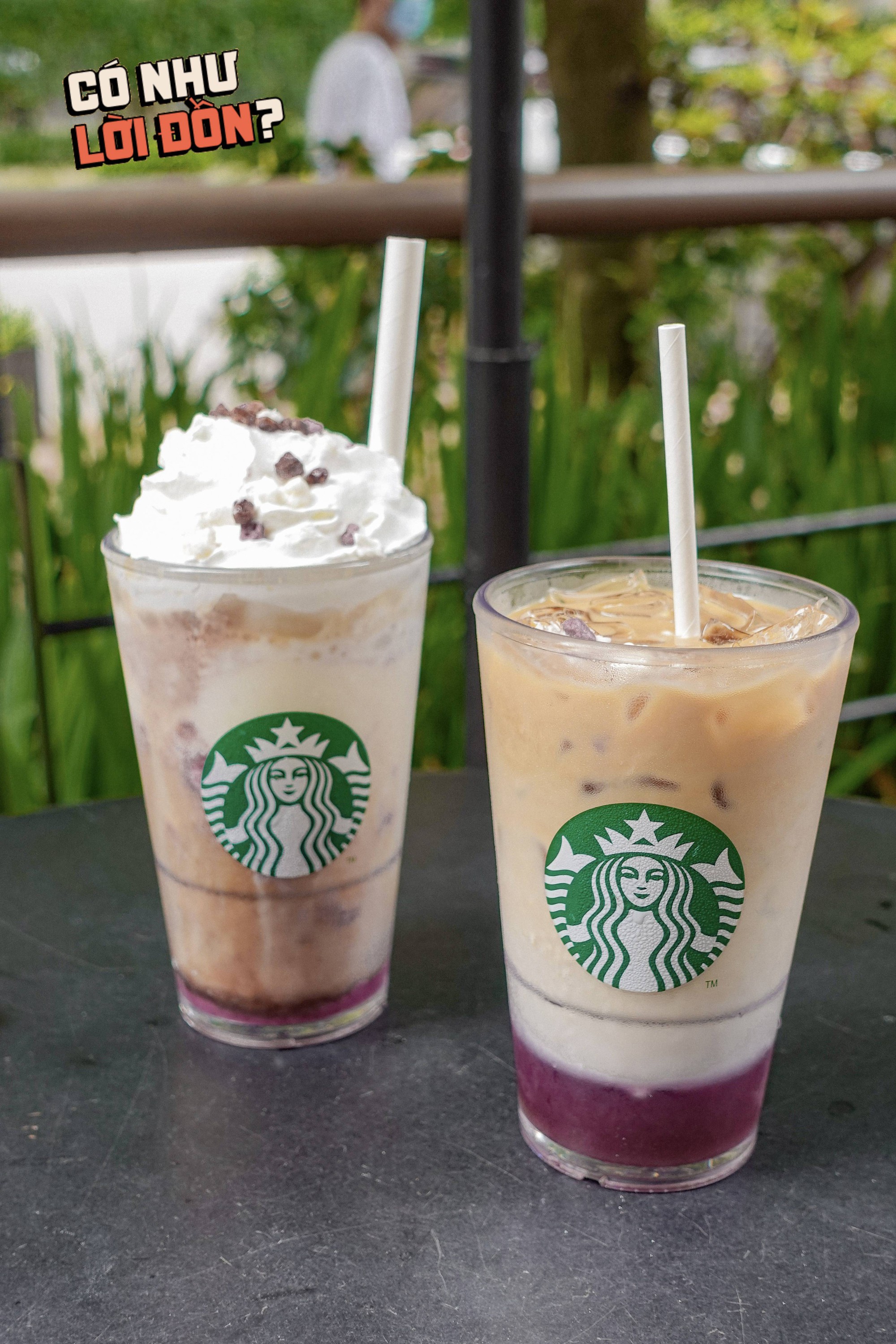 Kiểm chứng cà phê khoai mỡ mới ra mắt của Starbucks: Có thật sự ngon hay lại là một kết hợp gây tranh cãi? - Ảnh 11