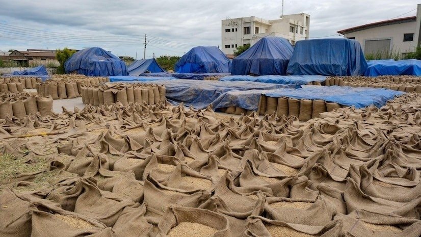 Vượt Thái Lan, Việt Nam sẽ có mặt hàng xuất khẩu top 2 thế giới, chinh phục hơn 150 quốc gia - Ảnh 1