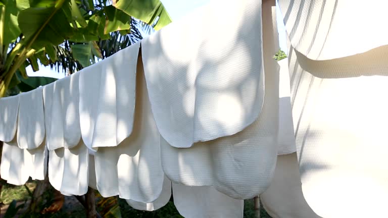 Hàng nghìn tấn 'vàng trắng' của Việt Nam được Mỹ mua với giá đắt đỏ: 1/3 thế giới ưa chuộng, nước ta nắm giữ diện tích trồng hơn 900.000 ha - Ảnh 1