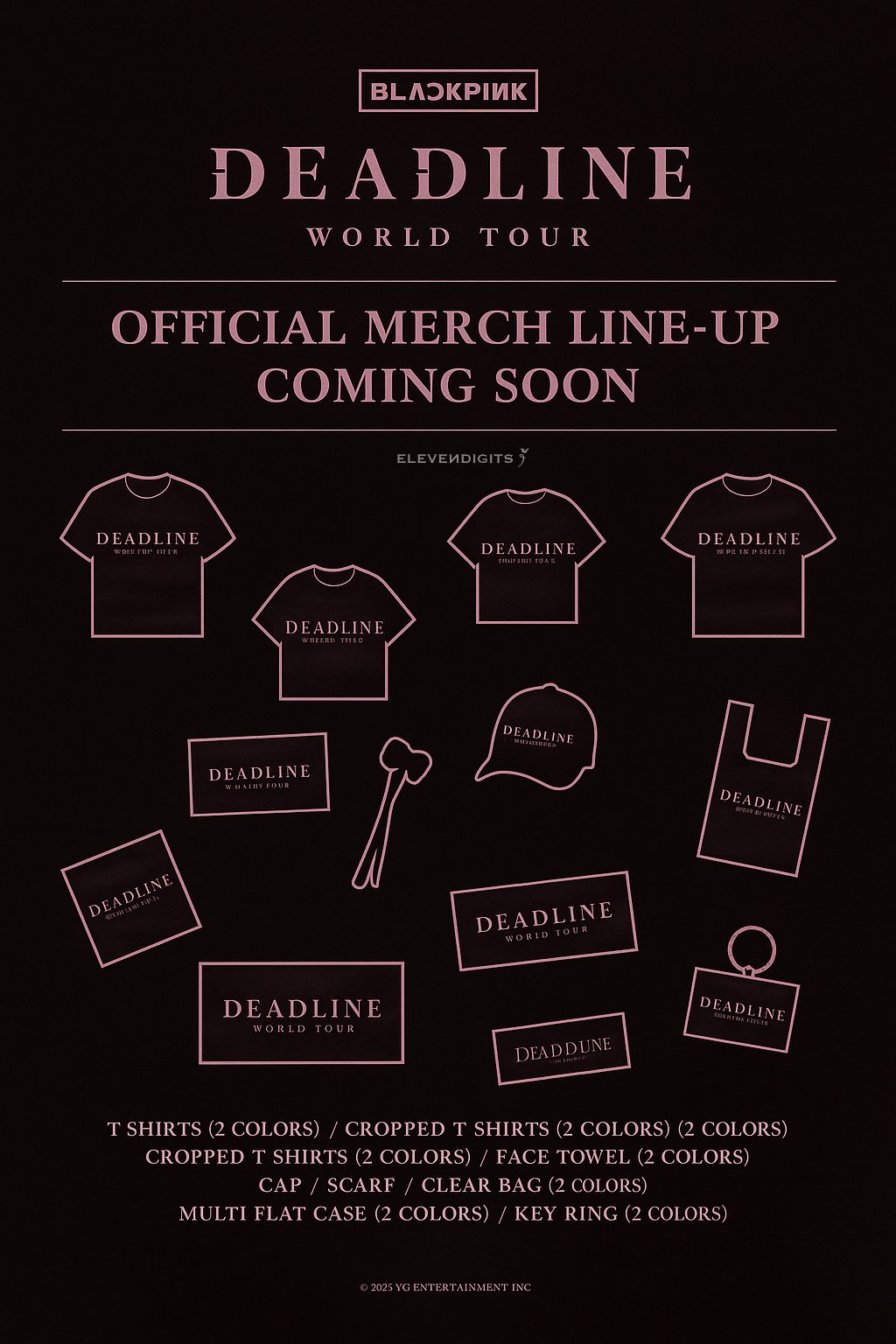 BLACKPINK bán bao nylon giá nửa triệu, fan ngỡ ngàng - Ảnh 4