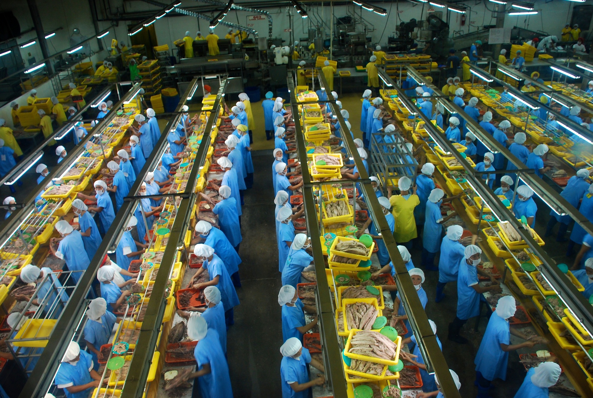 "Mỏ vàng" tỷ đô của Việt Nam khiến nền kinh tế giàu top 40 thế giới khao khát: Tăng trưởng sốc gấp 69 lần chỉ sau 3 năm - Ảnh 1