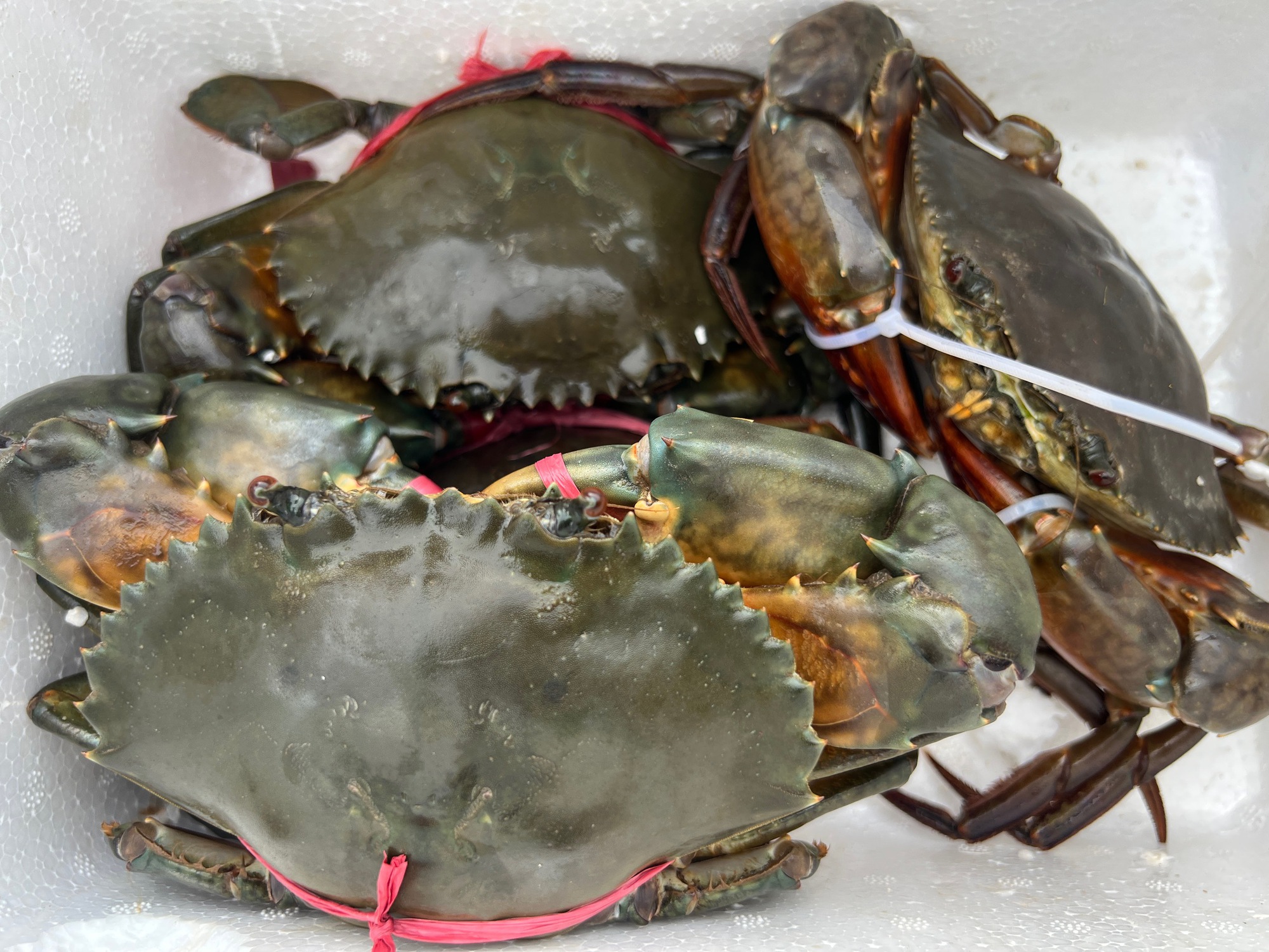 Siêu thực phẩm đến từ châu Âu dội chợ Việt, gây sốt với giá rẻ chưa từng thấy, khách tranh nhau đặt mua - Ảnh 3