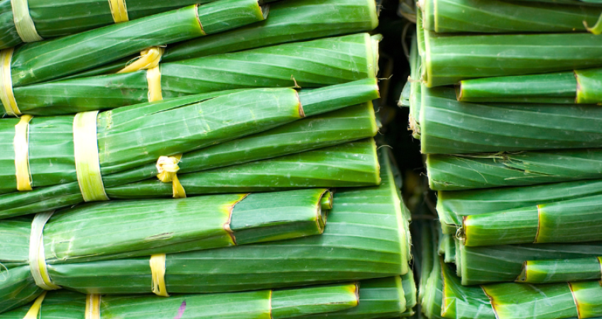 Loại lá người Việt dùng gói bánh, gói xôi "thăng hạng" thành mặt hàng triệu đô, xuất khẩu khắp Âu Á - Ảnh 2