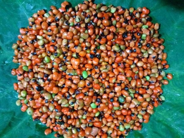 Loại hạt đắt đỏ bậc nhất thế giới, giá 240 triệu đồng/kg, chỉ duy nhất Việt Nam mới có - Ảnh 7