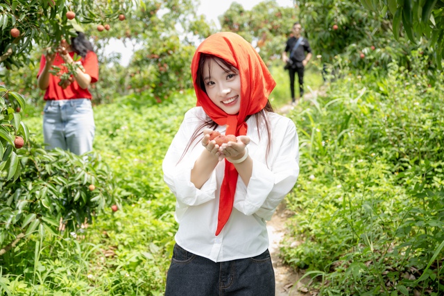 54 tấn vải Lục Ngạn bán hết veo sau phiên live 6 tiếng, PCT Bắc Giang nêu rõ 3 từ "đạt chuẩn sang Mỹ" - Ảnh 5