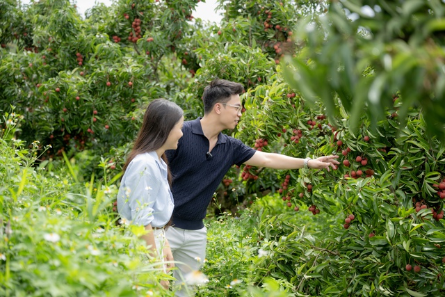 54 tấn vải Lục Ngạn bán hết veo sau phiên live 6 tiếng, PCT Bắc Giang nêu rõ 3 từ "đạt chuẩn sang Mỹ" - Ảnh 2