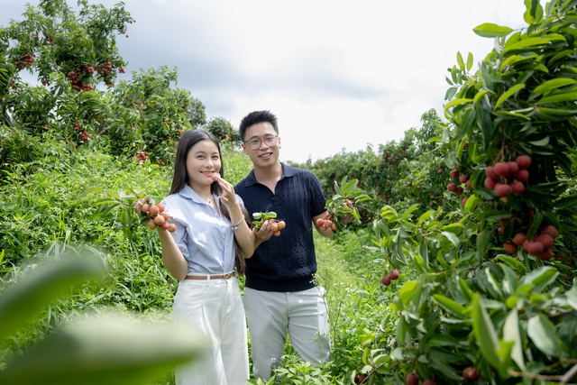 54 tấn vải Lục Ngạn bán hết veo sau phiên live 6 tiếng, PCT Bắc Giang nêu rõ 3 từ "đạt chuẩn sang Mỹ" - Ảnh 1