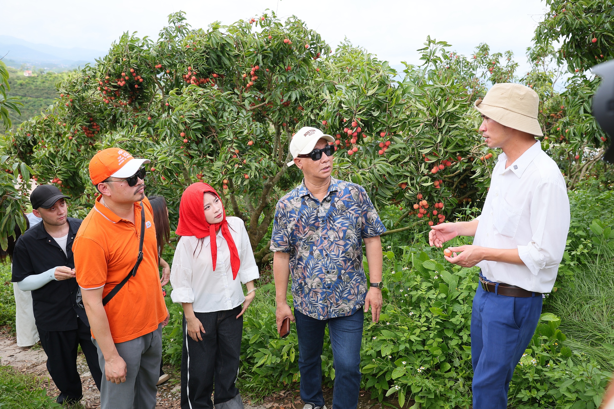 Vải thiều dội chợ rớt giá, đưa lên livestream lại "cháy hàng" - Ảnh 1