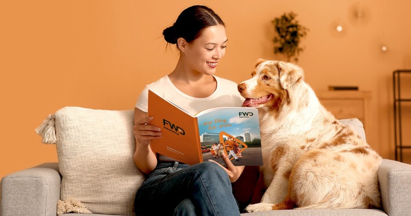 Ứng dụng FWD phiên bản mới: Quản lý bảo hiểm dễ dàng như lướt mạng xã hội