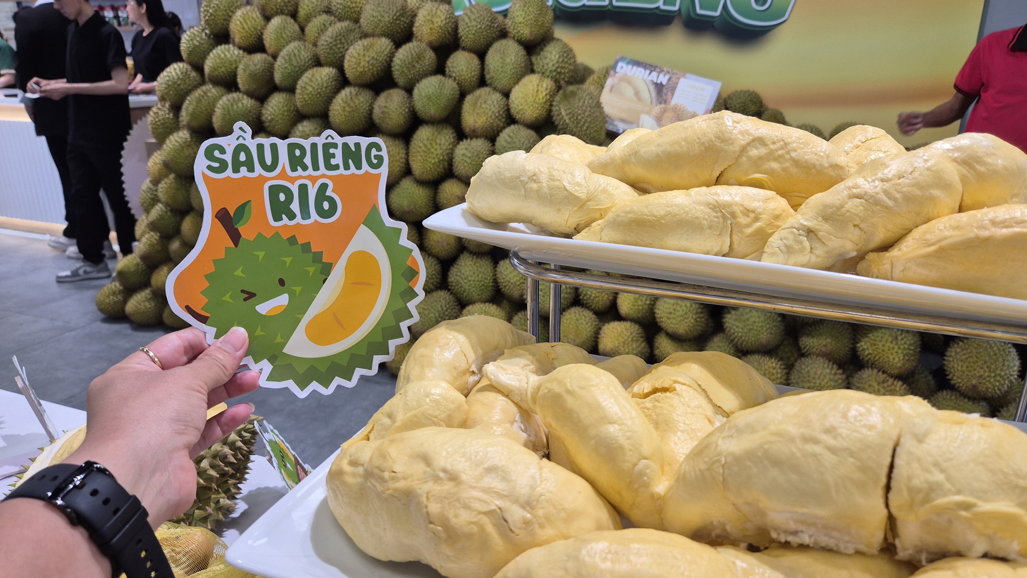 Khởi sắc chưa đầy 1 tháng, giá sầu riêng lại đảo chiều đi xuống - Ảnh 2