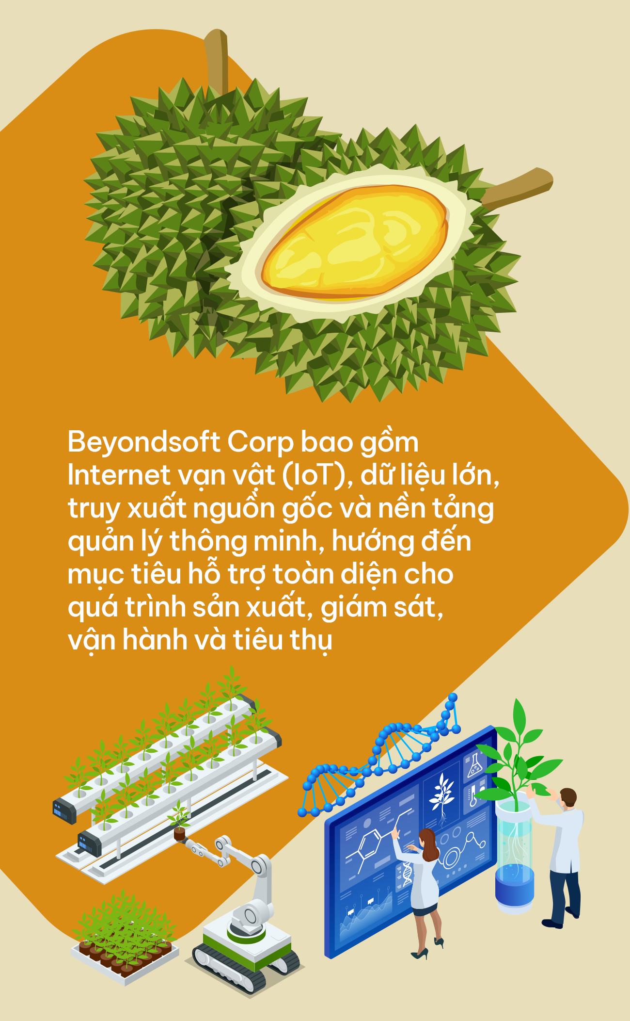 Công nghệ cao vào cuộc - Đây là 'tuyệt chiêu' giúp Thái Lan chiếm trọn 60% thị phần sầu riêng tại Trung Quốc, dự báo bội thu đơn hàng năm 2025 - Ảnh 4
