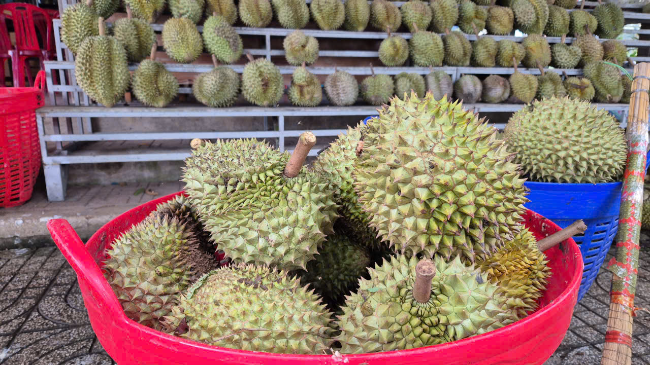 Khởi sắc chưa đầy 1 tháng, giá sầu riêng lại đảo chiều đi xuống - Ảnh 1