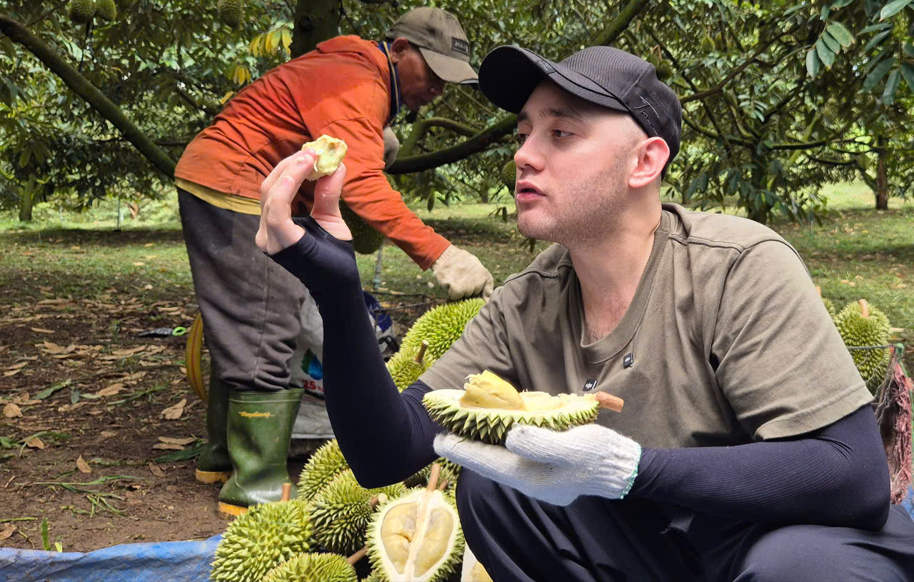 Sầu riêng giống cổ Chuồng Bò, Sáu Hữu bất ngờ được chuộng - Ảnh 1