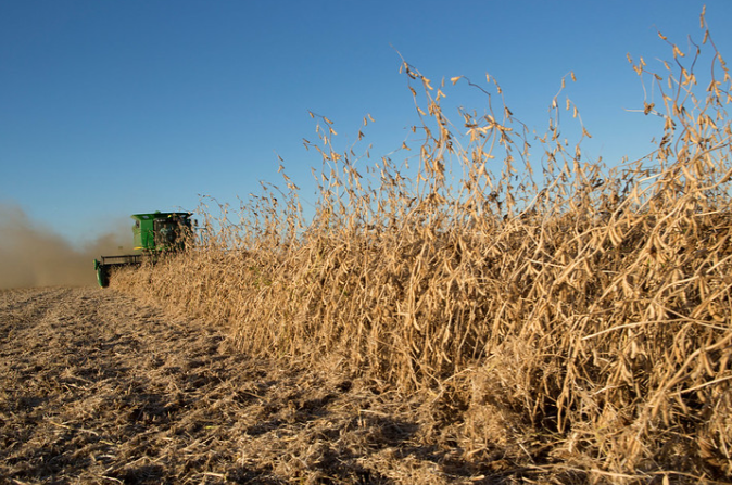 Không phải dầu thô hay khí đốt, Nga bất ngờ giảm thuế xuất khẩu một mặt hàng xuống 0%, là ‘vũ khí’ nông sản Moscow đứng đầu thế giới - Ảnh 1